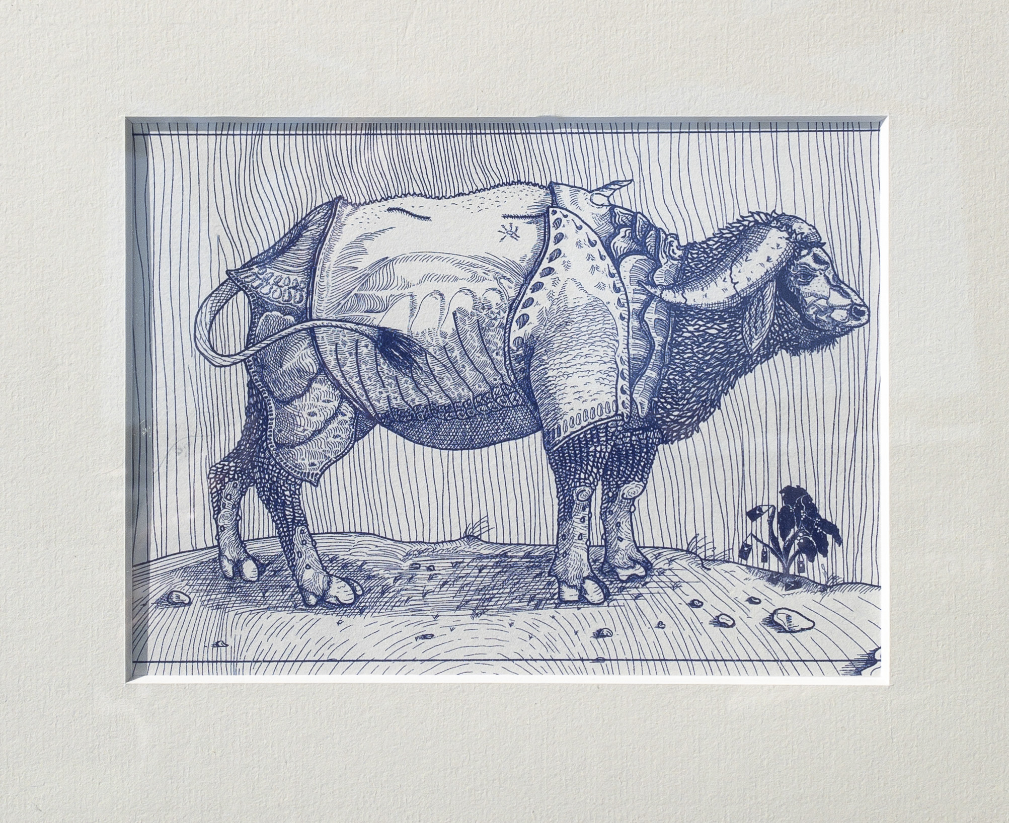 A buffalo drawing inspired by Dürer's Rhinoceros