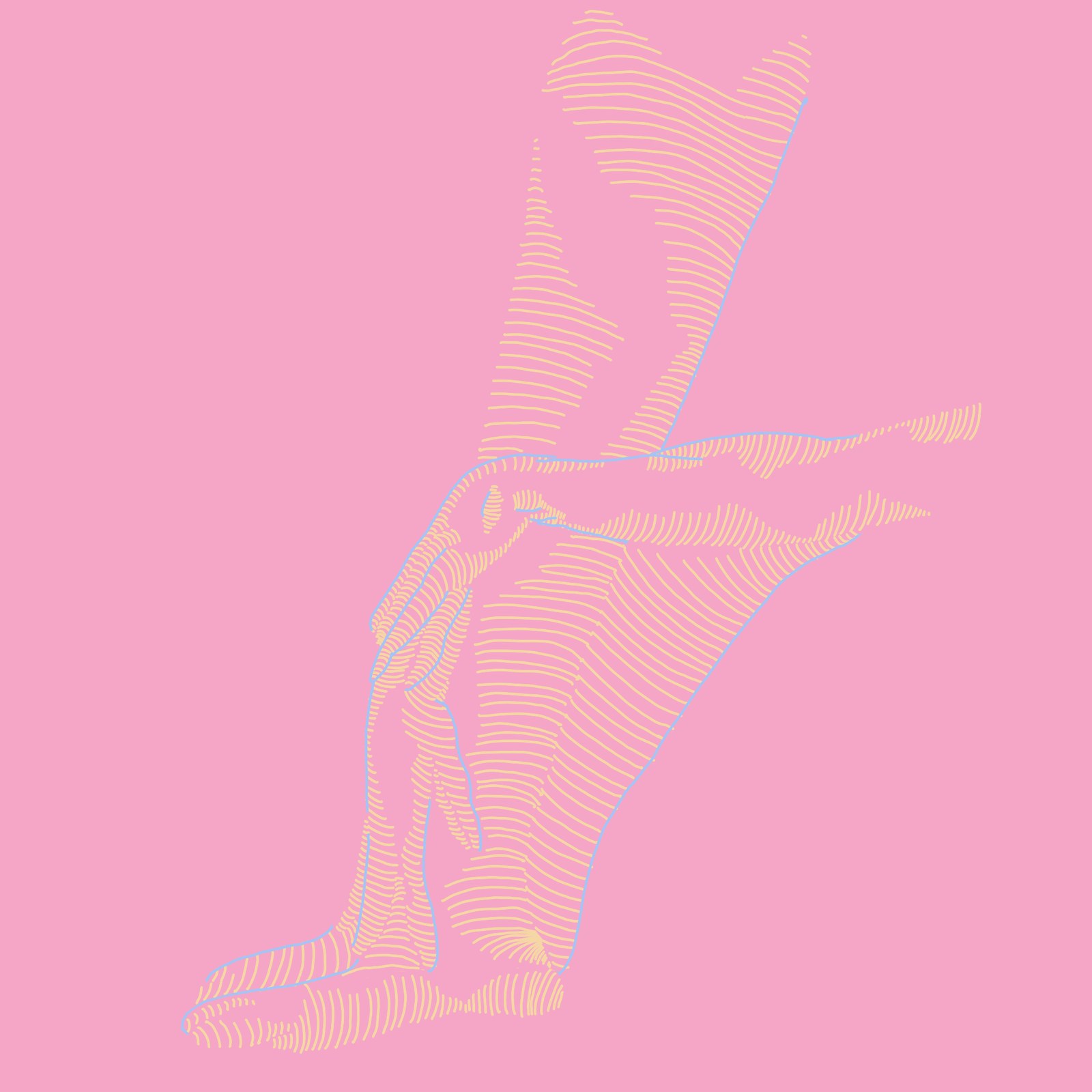 Bras et jambe
