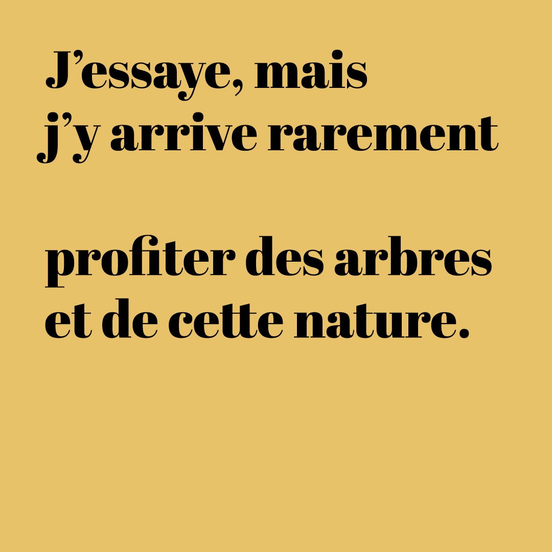 Quinzaine 15/15