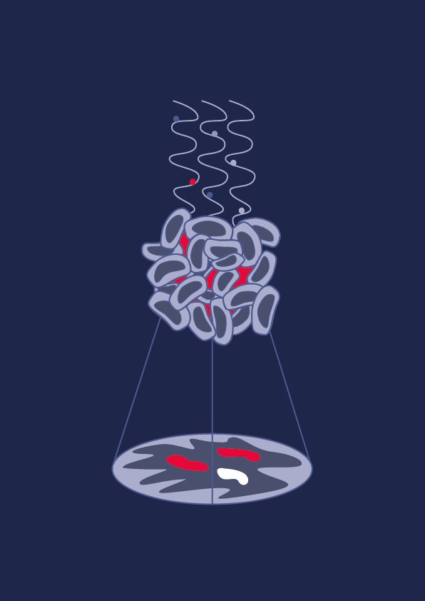 Phase imaging