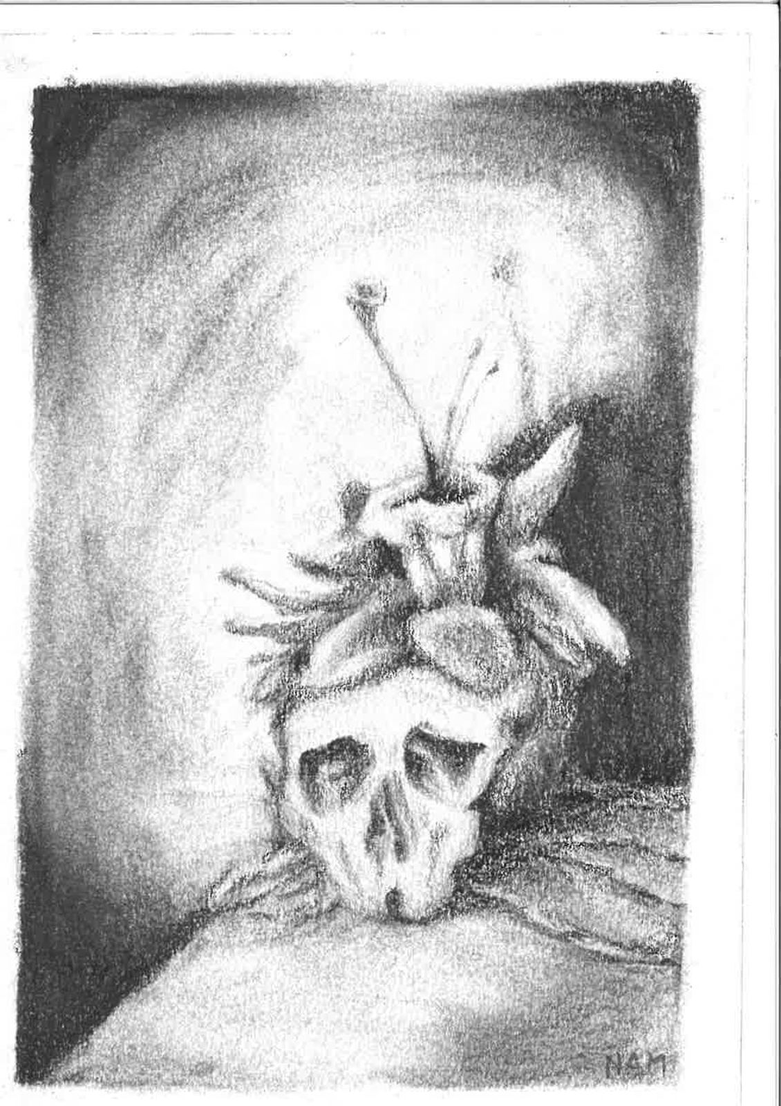 Tête de mort
