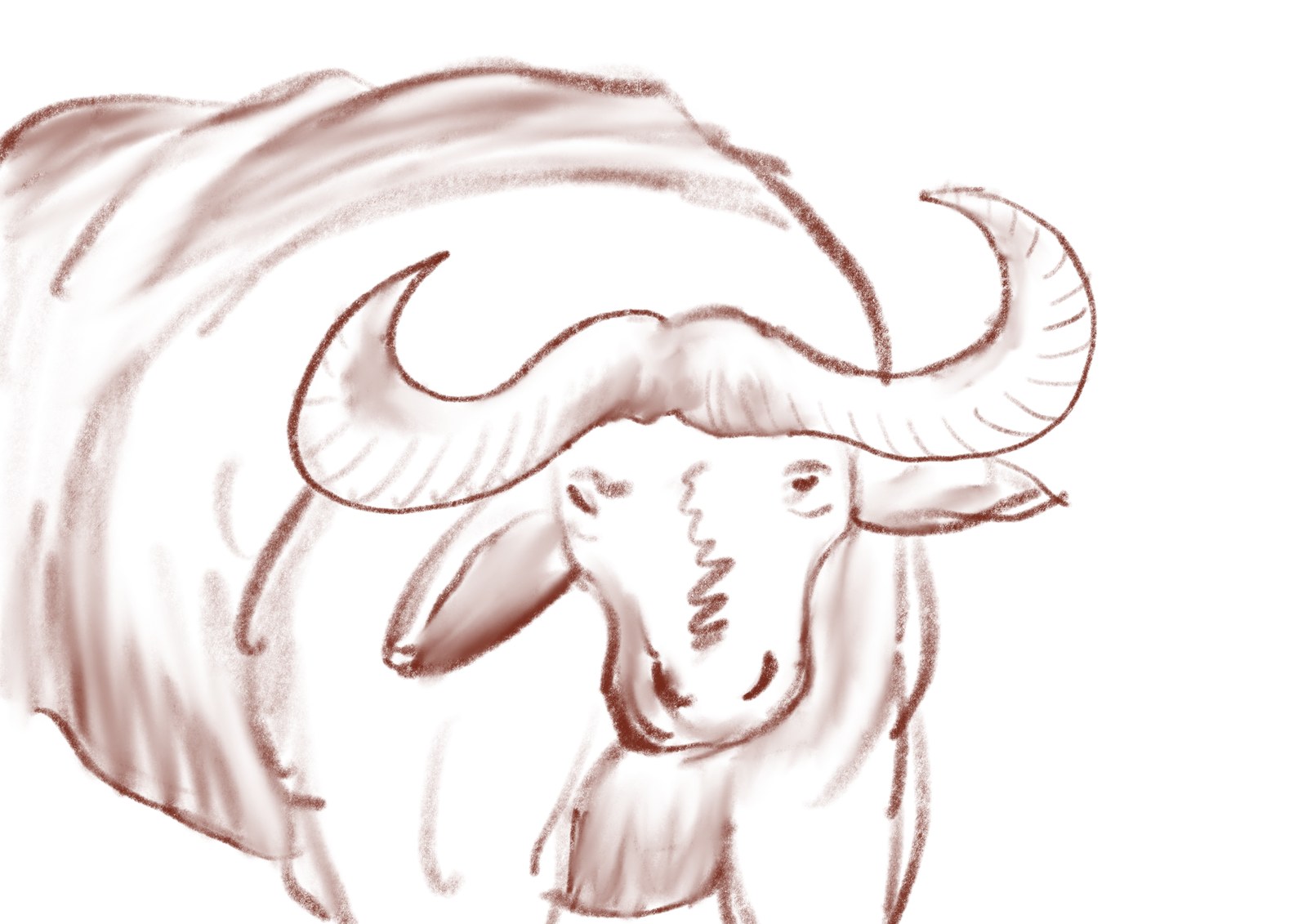 Etude de buffle