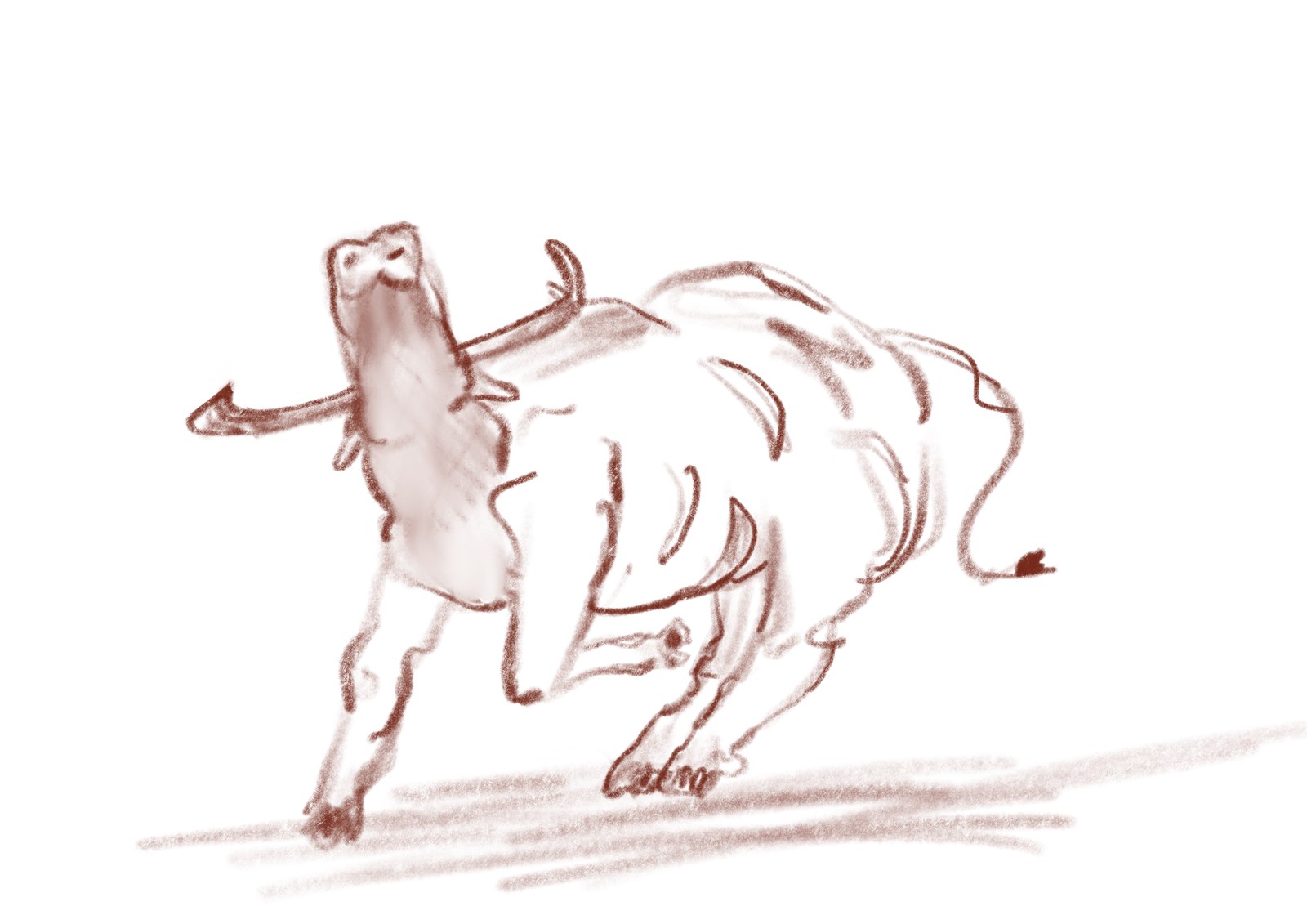 Etude de buffle