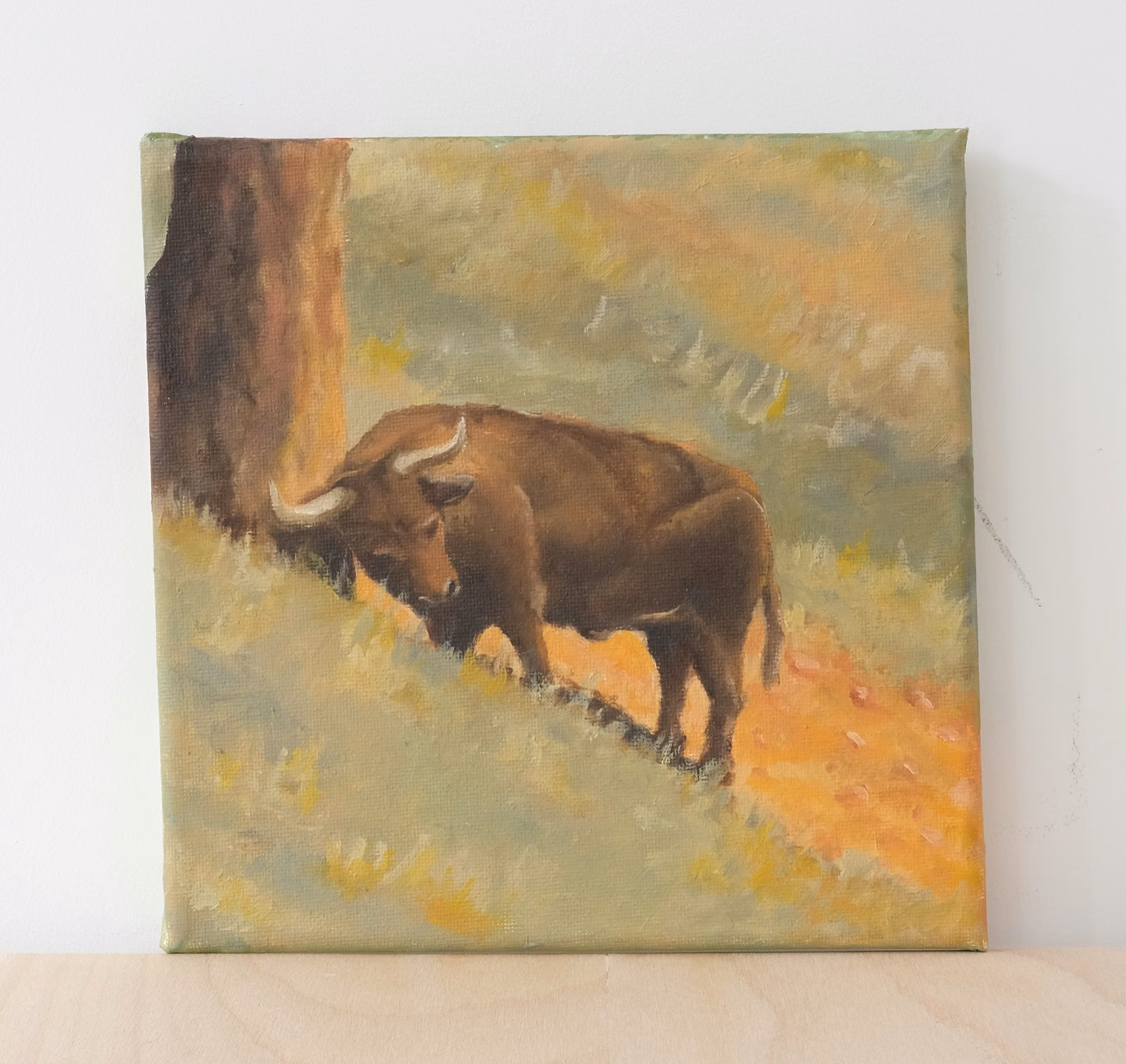 Vache